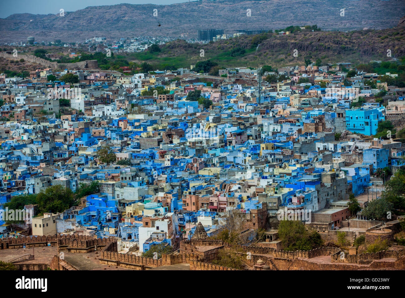 La vista dal Forte Mehrangarh dei tetti blu a Jodhpur la città blu, Rajasthan, India, Asia Foto Stock