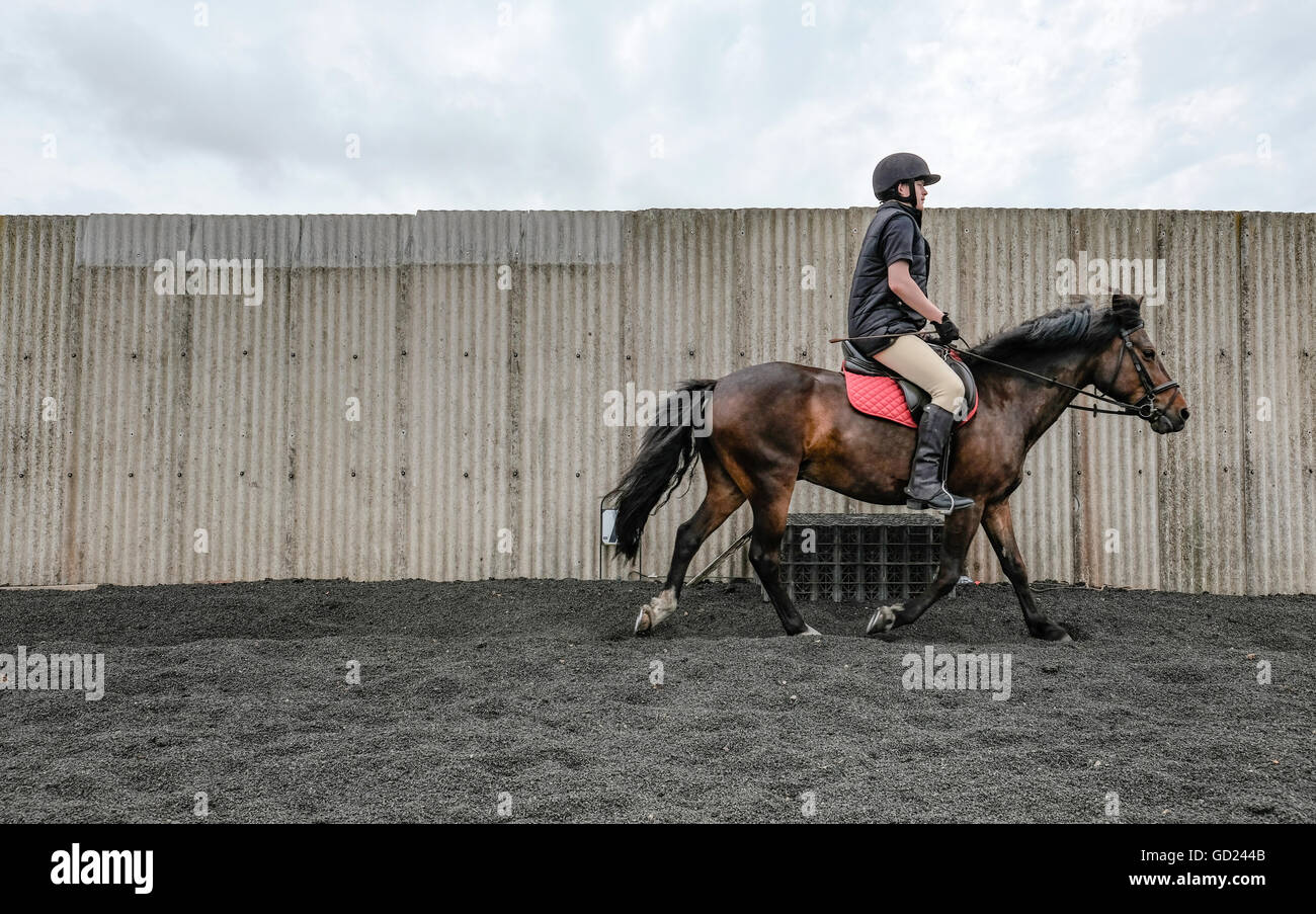 L'adolescente ha visto andare a cavallo di un pony in una struttura di allenamento chiusa al trotto. Foto Stock