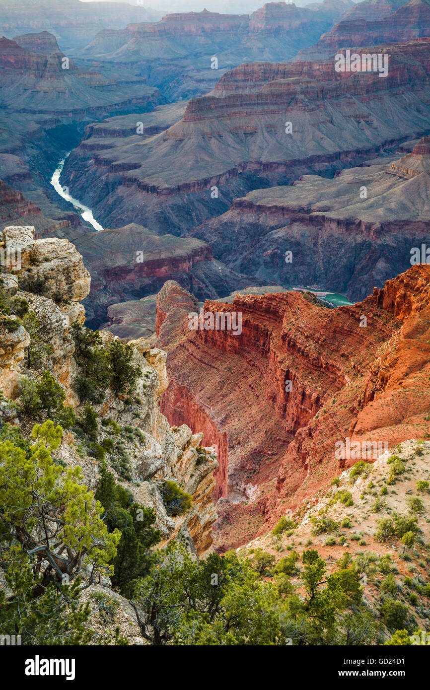 Canyon interno e il Fiume Colorado dal punto di Mohave che scorre attraverso il Parco Nazionale del Grand Canyon, Arizona, Stati Uniti d'America Foto Stock