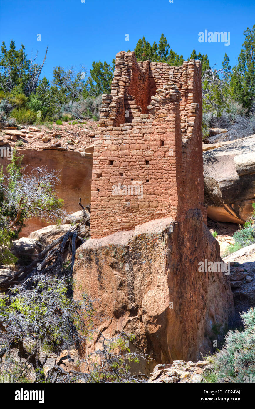 Rovine di Puebloans ancestrale, torre quadrata, Holly Gruppo, Hovenweep National Monument, Utah, Stati Uniti d'America Foto Stock