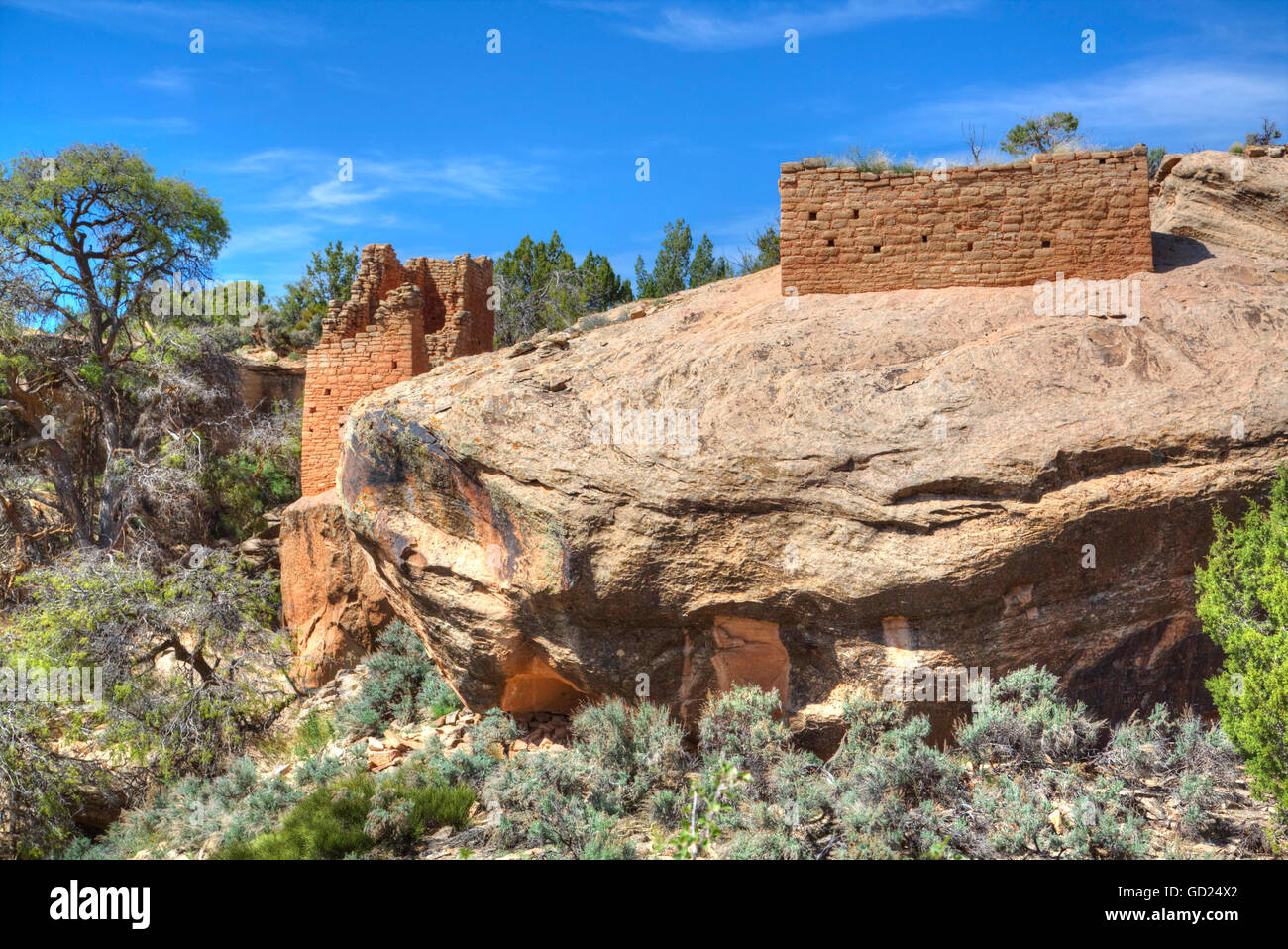 Rovine di Puebloans ancestrale, risalenti al periodo tra il 900 D.C. e 1200 DC, Holly Gruppo, Hovenweep National Monument, Utah, Stati Uniti d'America Foto Stock