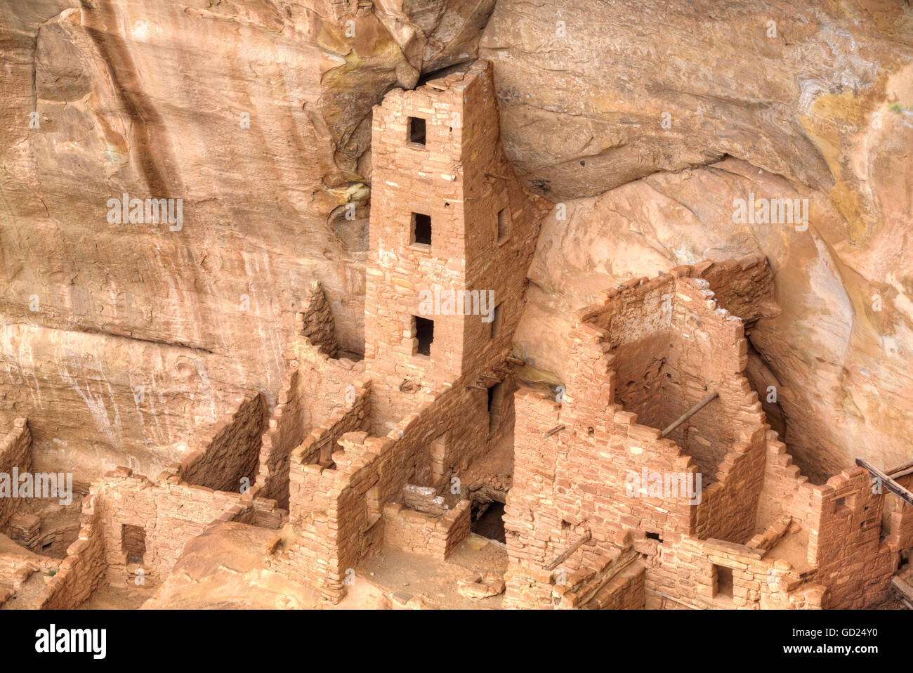 Rovine Anasazi, torre quadrata House, risalenti al periodo tra il 600 DC e 1300 Annuncio, Mesa Verde National Park, UNESCO, Colorado, STATI UNITI D'AMERICA Foto Stock