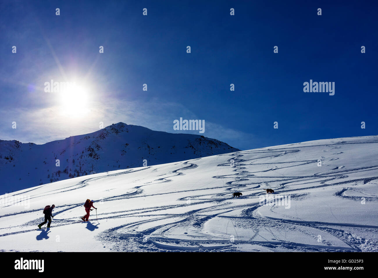 Sci di fondo nei pressi di Martigny al Col de la Forclaz, Vallese, alpi svizzere, Svizzera, Europa Foto Stock