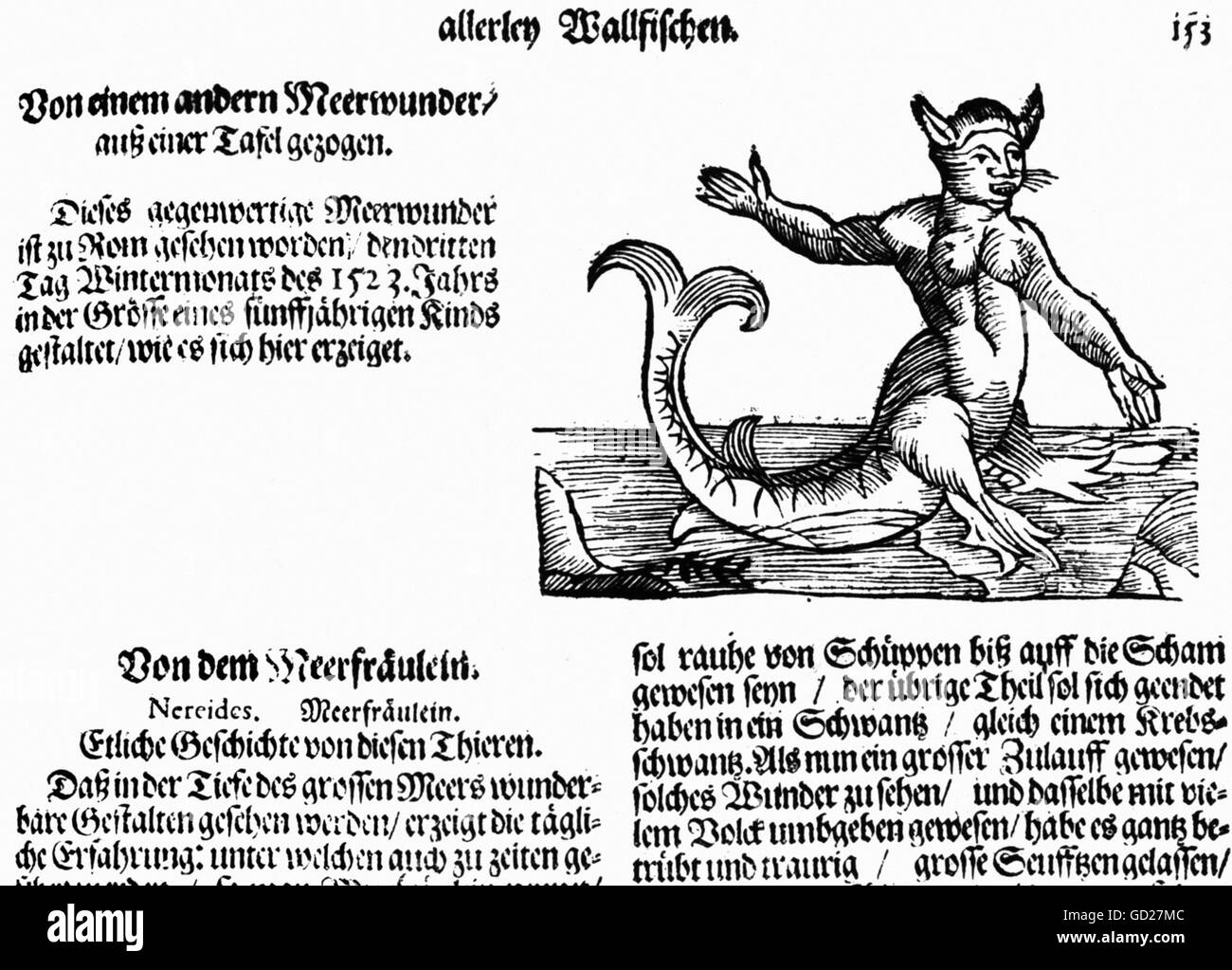 Superstizione, creature mitologiche, sirena (Nereid), taglio di legno da 'Historia animalium' di Conrad Gesner, 1551/ 1558, Additional-Rights-Clearences-Not Available Foto Stock