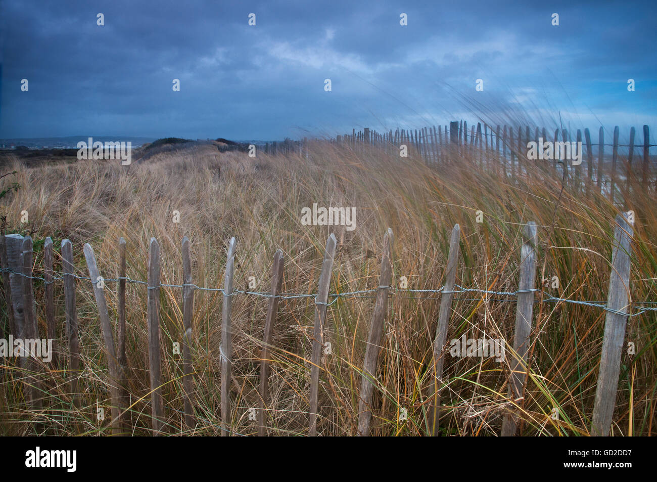 Immagine del paesaggio di dune spazzate dal vento erbe e stagionato con recinto moody sky. Foto Stock