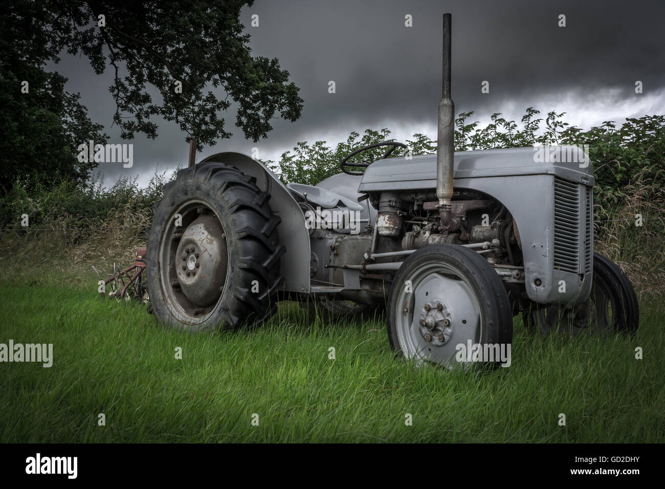 Vintage trattore Ferguson Foto Stock
