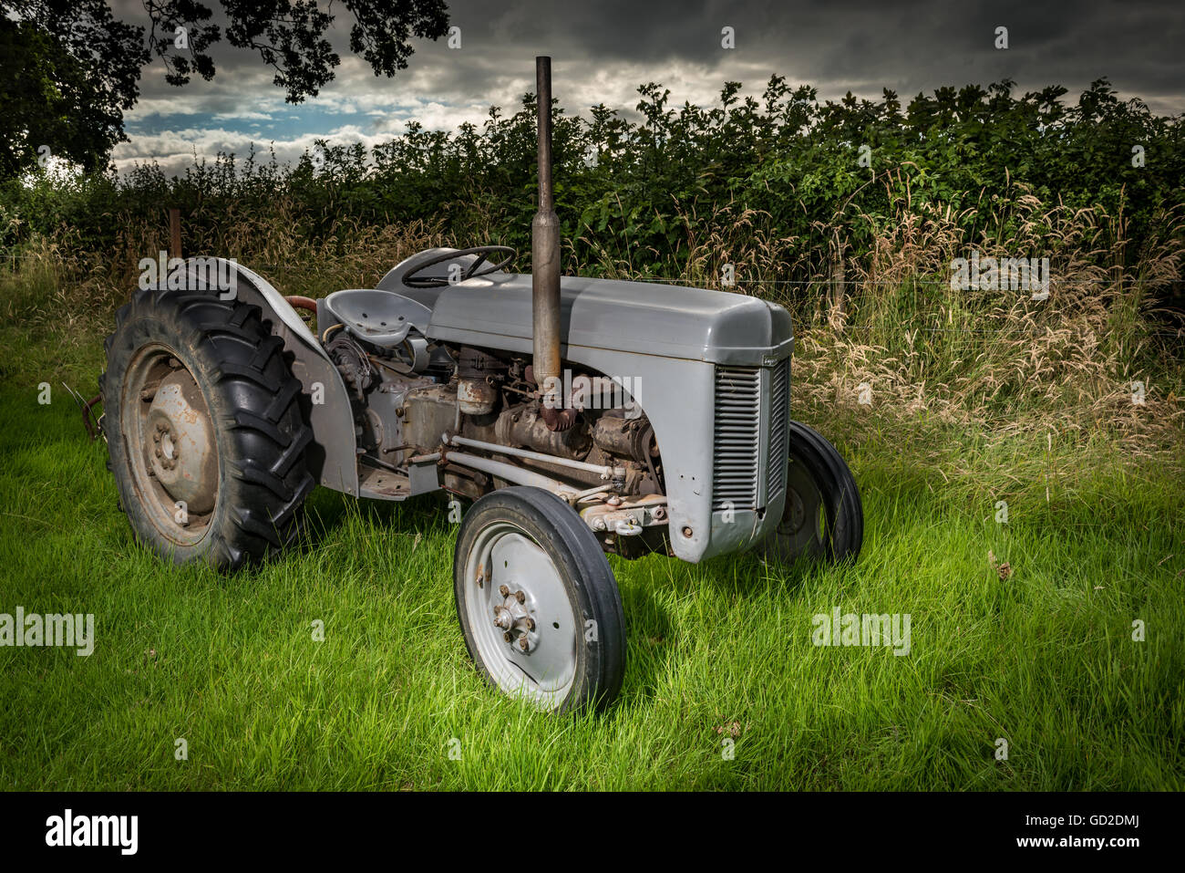 Vintage trattore Ferguson Foto Stock