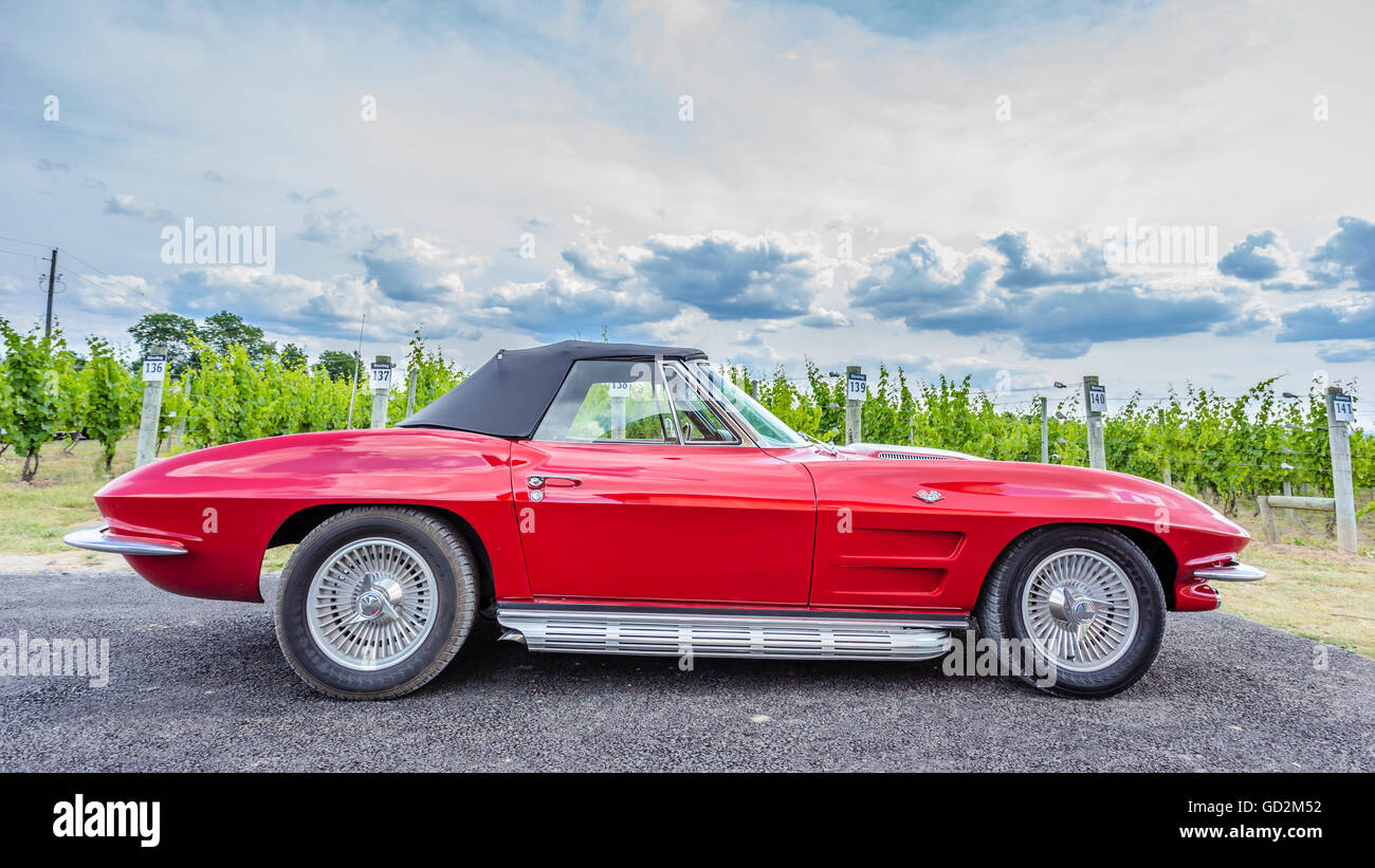Un rosso vintage Corvette Sting Ray automobile parcheggiata in un vigneto di uva nella regione dei Laghi Finger di Upstate New York. Foto Stock