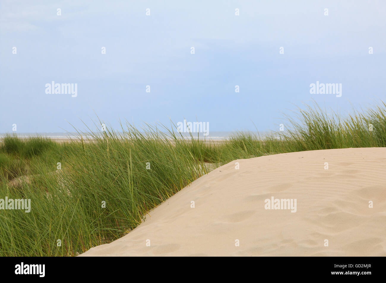 Dune lungo la costa del Mare del Nord sulla isola tedesca di Borkum Foto Stock