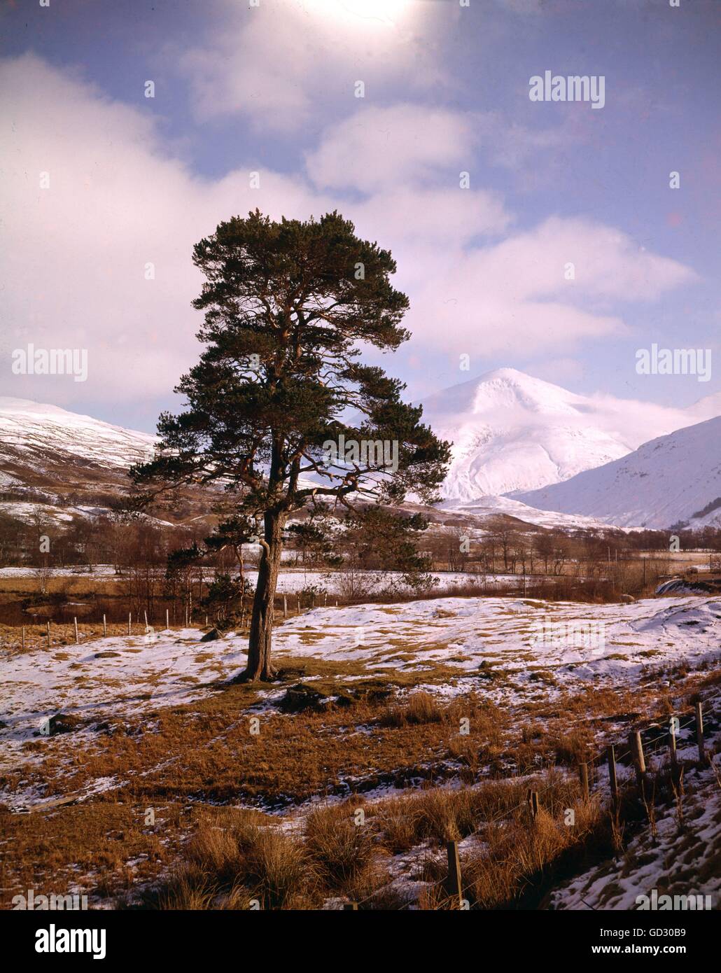 La Scozia, Perthshire. Ben più a 3843 piedi sopra il livello del mare in Glen Dochart. Un gelido bellezza. Foto Stock