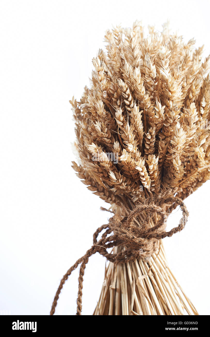 In prossimità del grano legati con spago Foto Stock