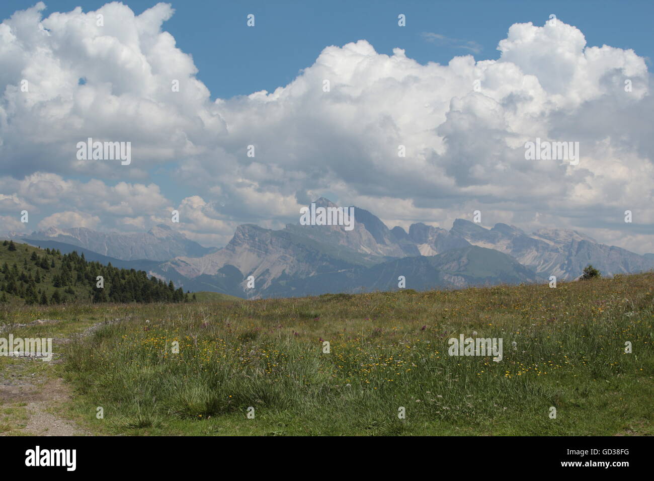 Alpe di Siusi panorama Foto Stock