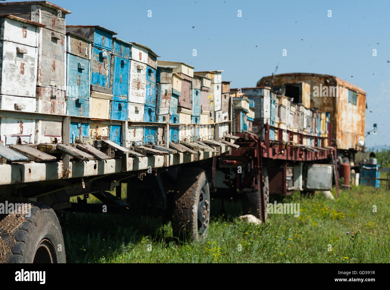 Vecchio alveari su un carrello, Armenia. Foto Stock