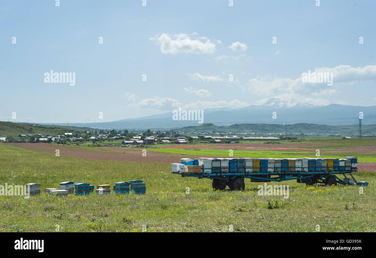 Vecchio alveari su un carrello, Armenia. Foto Stock