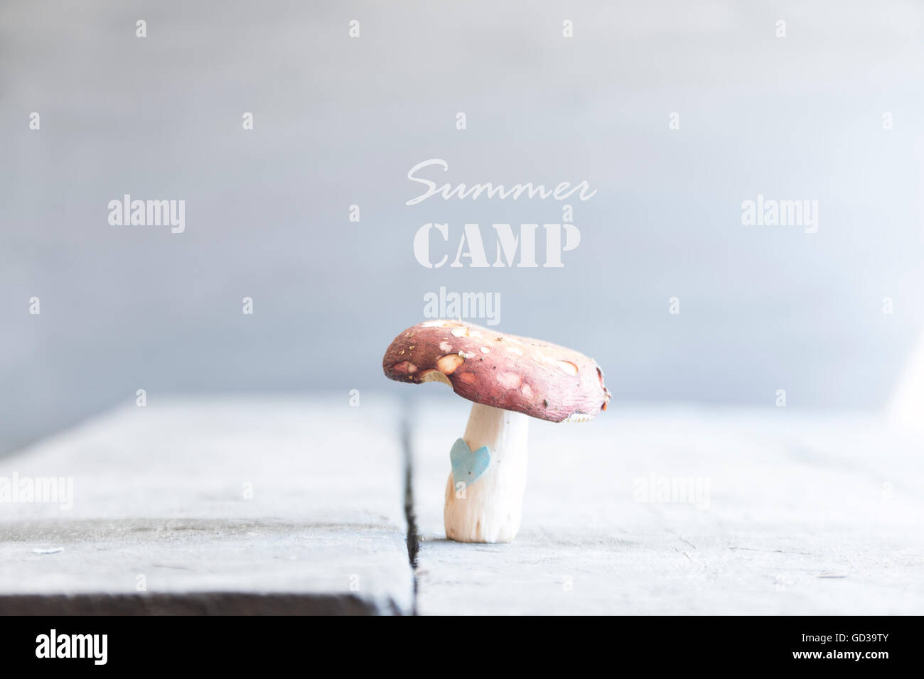 Summer Camp idea Foto Stock