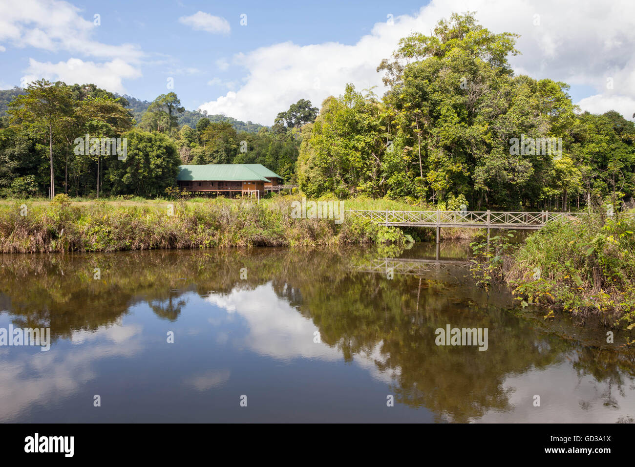 Bacino maliau centro studi, Sabah borneo Foto Stock