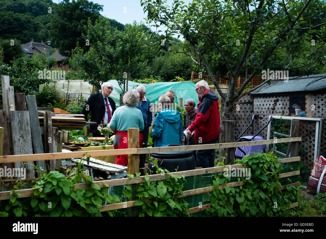 Le persone che visitano Aberystwyth riparto giardini su 'Open Garden" giorno, domenica 10 luglio 2016 Foto Stock