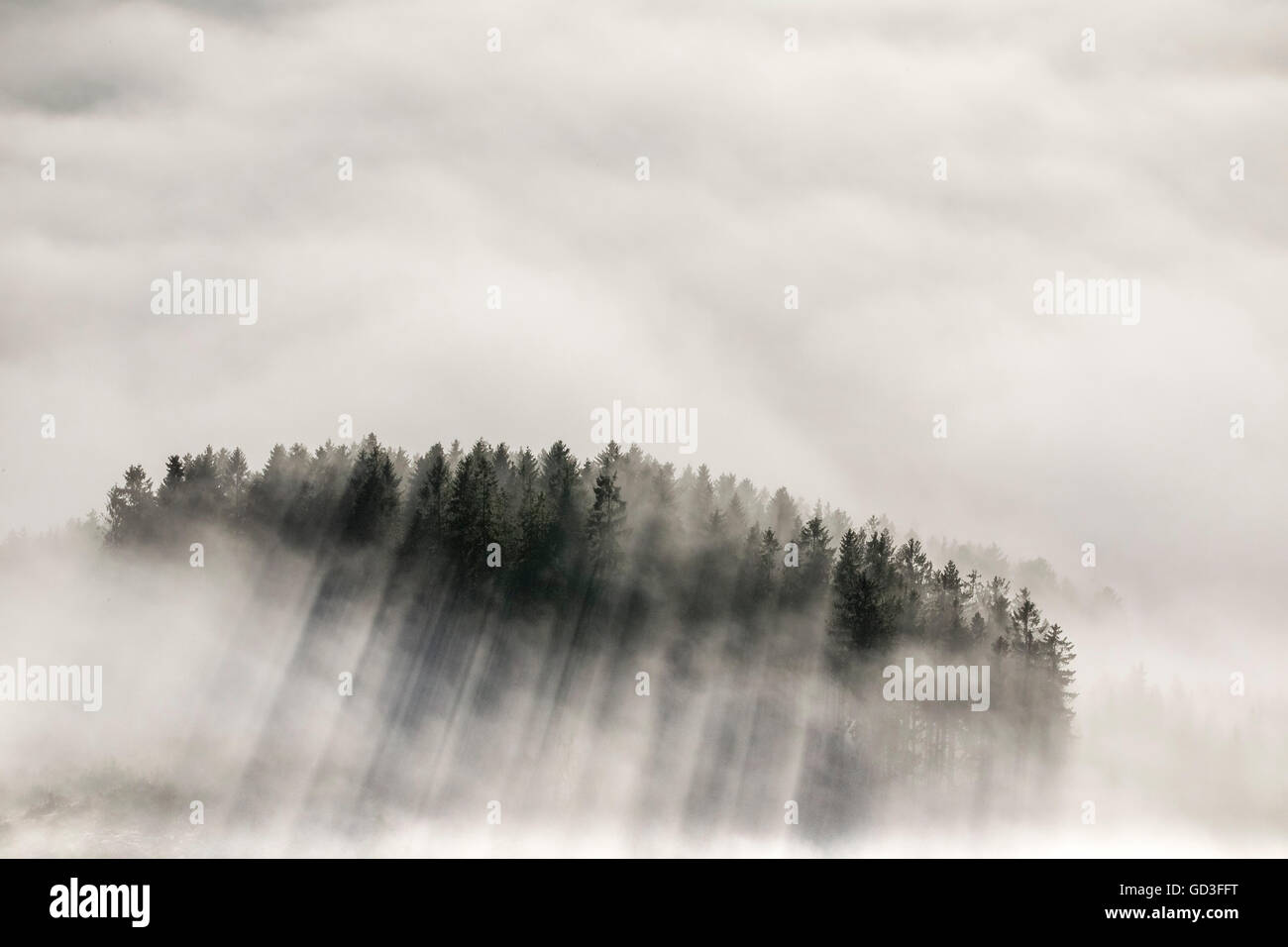 Vista aerea, copertura nuvolosa nelle valli di Meschede, Meschede, Sauerland, Renania settentrionale-Vestfalia, Germania, Europa, vista aerea, Foto Stock