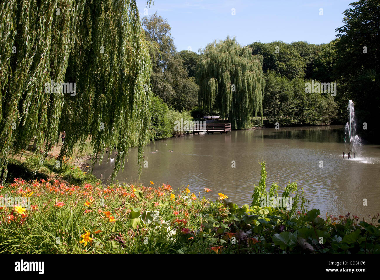 Kurpark, spa garden, Mar Baltico località di Groemitz, Luebeck Bay, Mar Baltico, Schleswig-Holstein Foto Stock