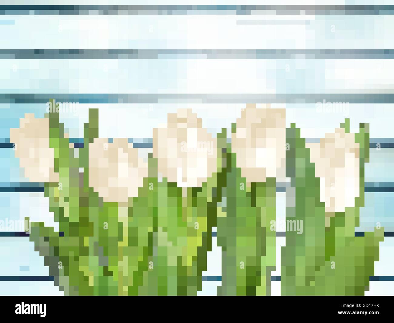 Bouquet di tulipani bianco. EPS 10 Illustrazione Vettoriale
