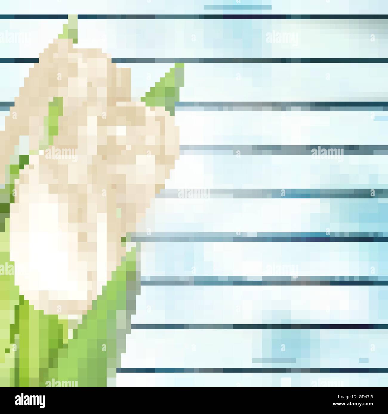 Bouquet di tulipani bianco. EPS 10 Illustrazione Vettoriale