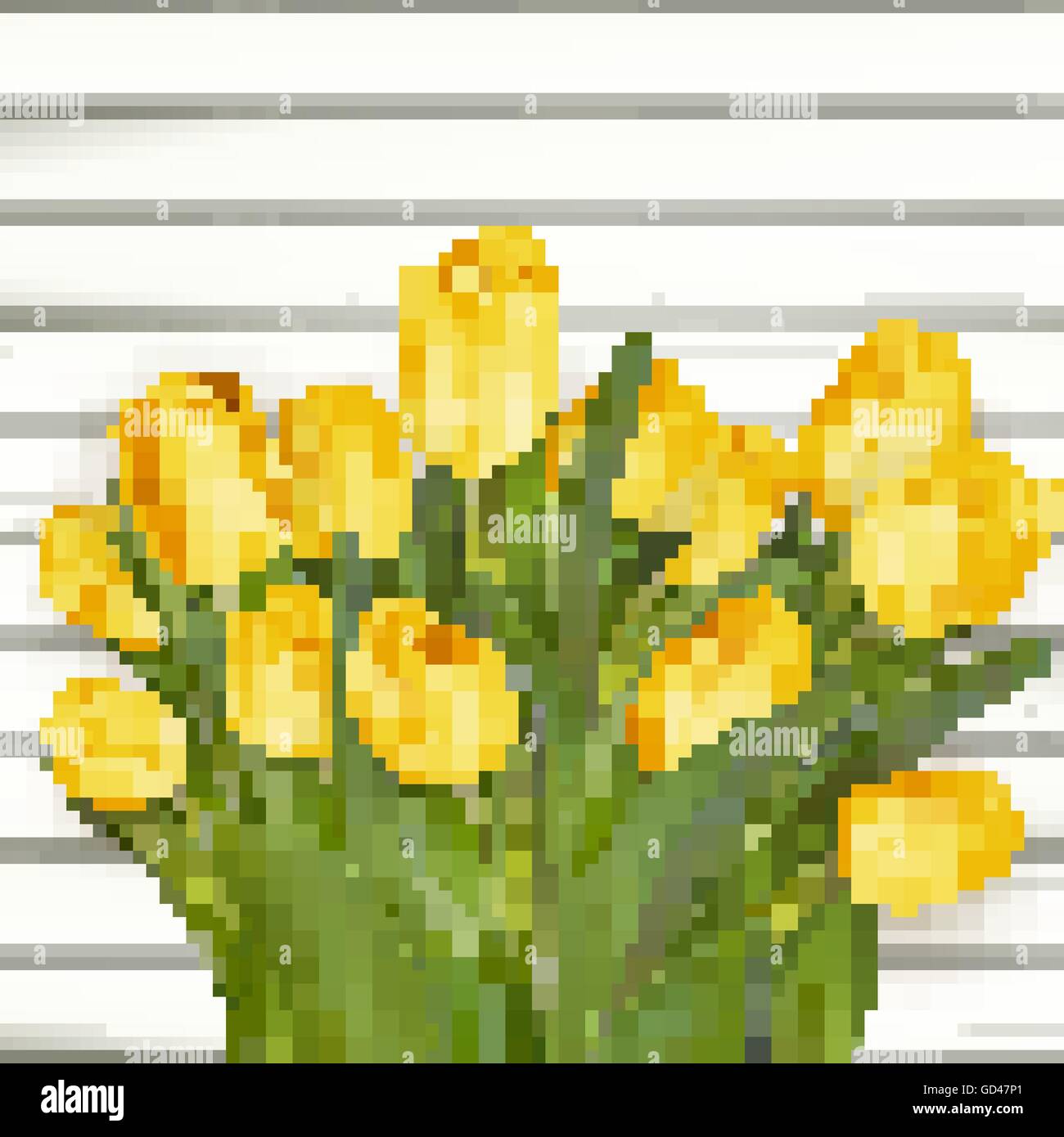 Tulipani gialli. EPS 10 Illustrazione Vettoriale
