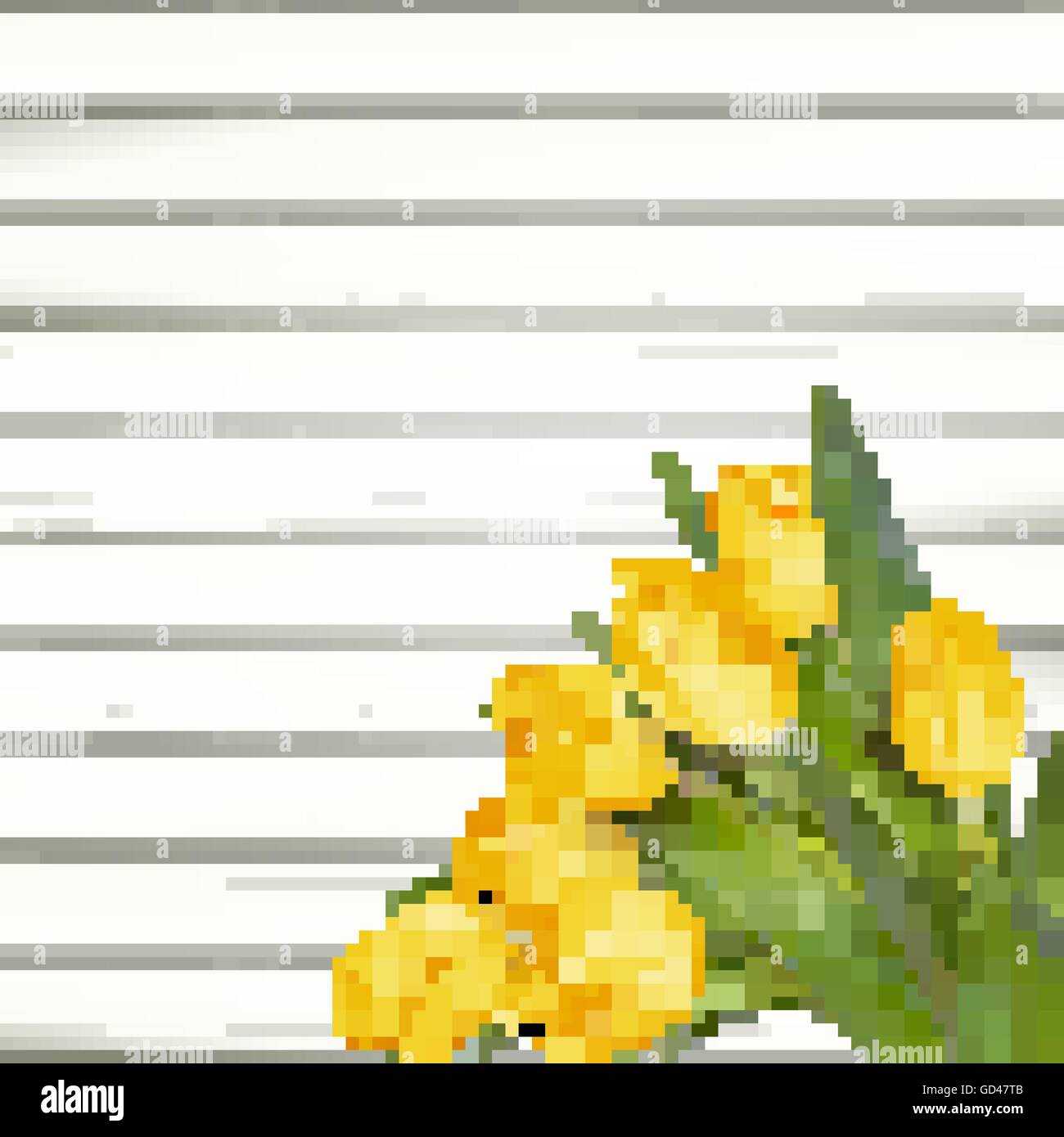 Tulipani gialli. EPS 10 Illustrazione Vettoriale