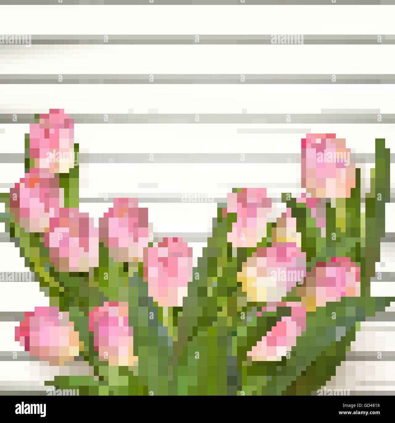 Rosa tulipani freschi Fiori. EPS 10 Illustrazione Vettoriale