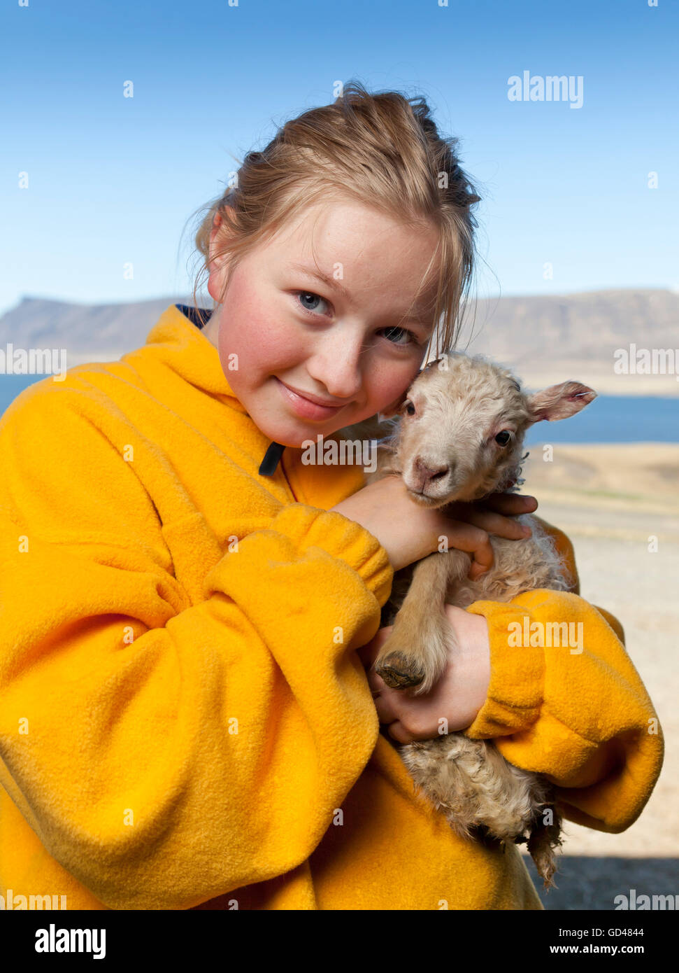 Ragazza con un neonato di agnello, Islanda Foto Stock