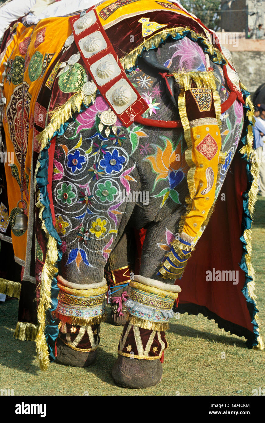 Decorate elephant Foto Stock