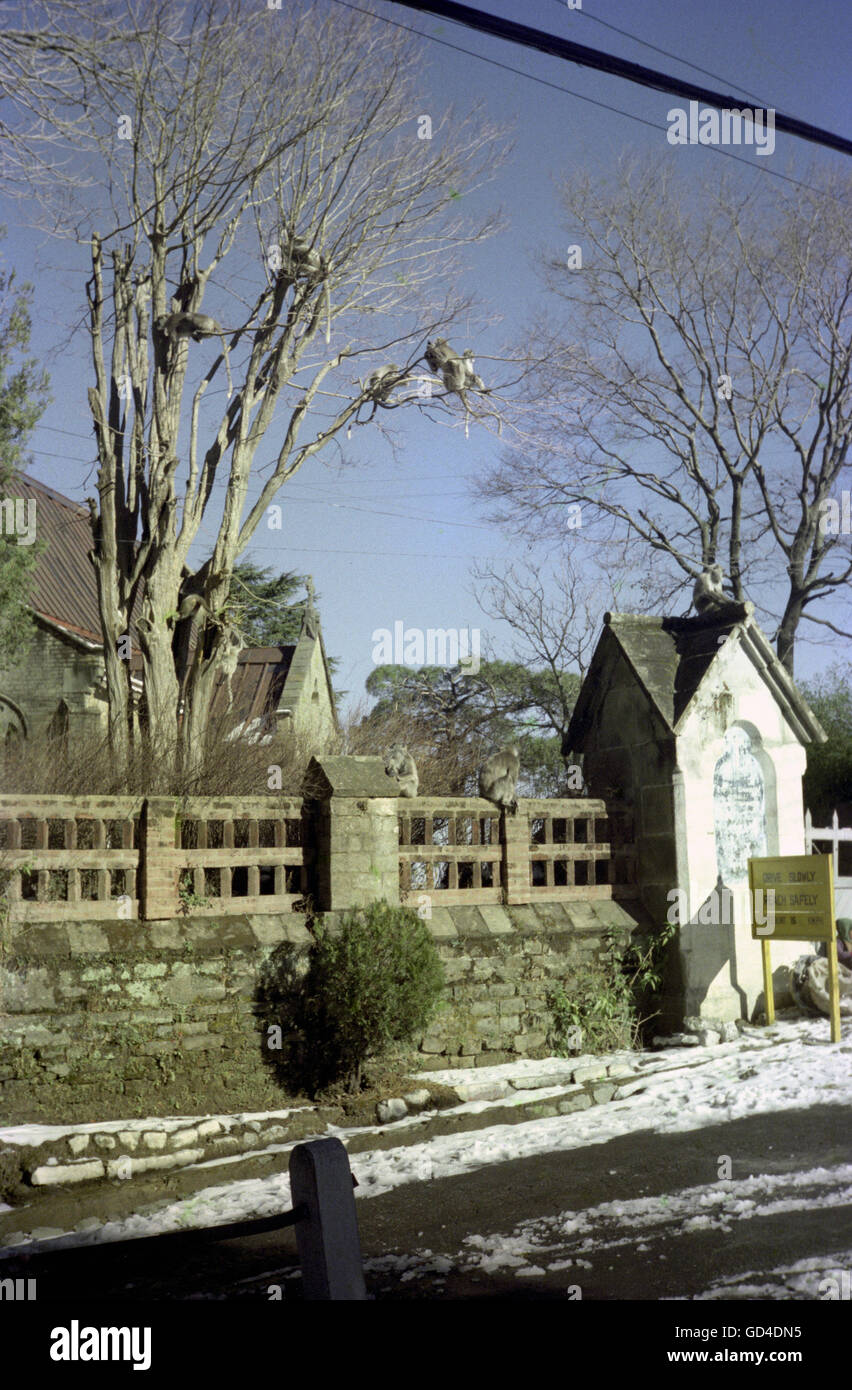 Chiesa di Kasauli Foto Stock