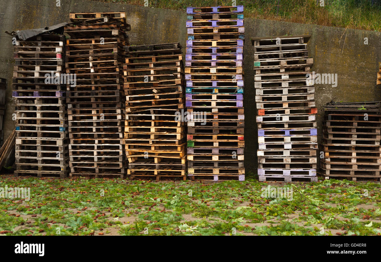 Tele di vecchi pallet sul terreno erboso Foto Stock