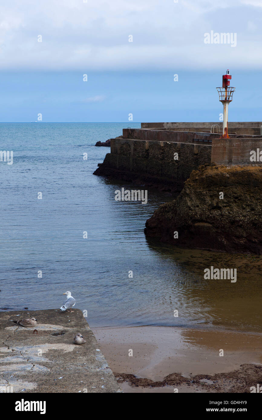 Biarritz a bassa marea, Port des pecheurs, Pays Basque, Francia Foto Stock