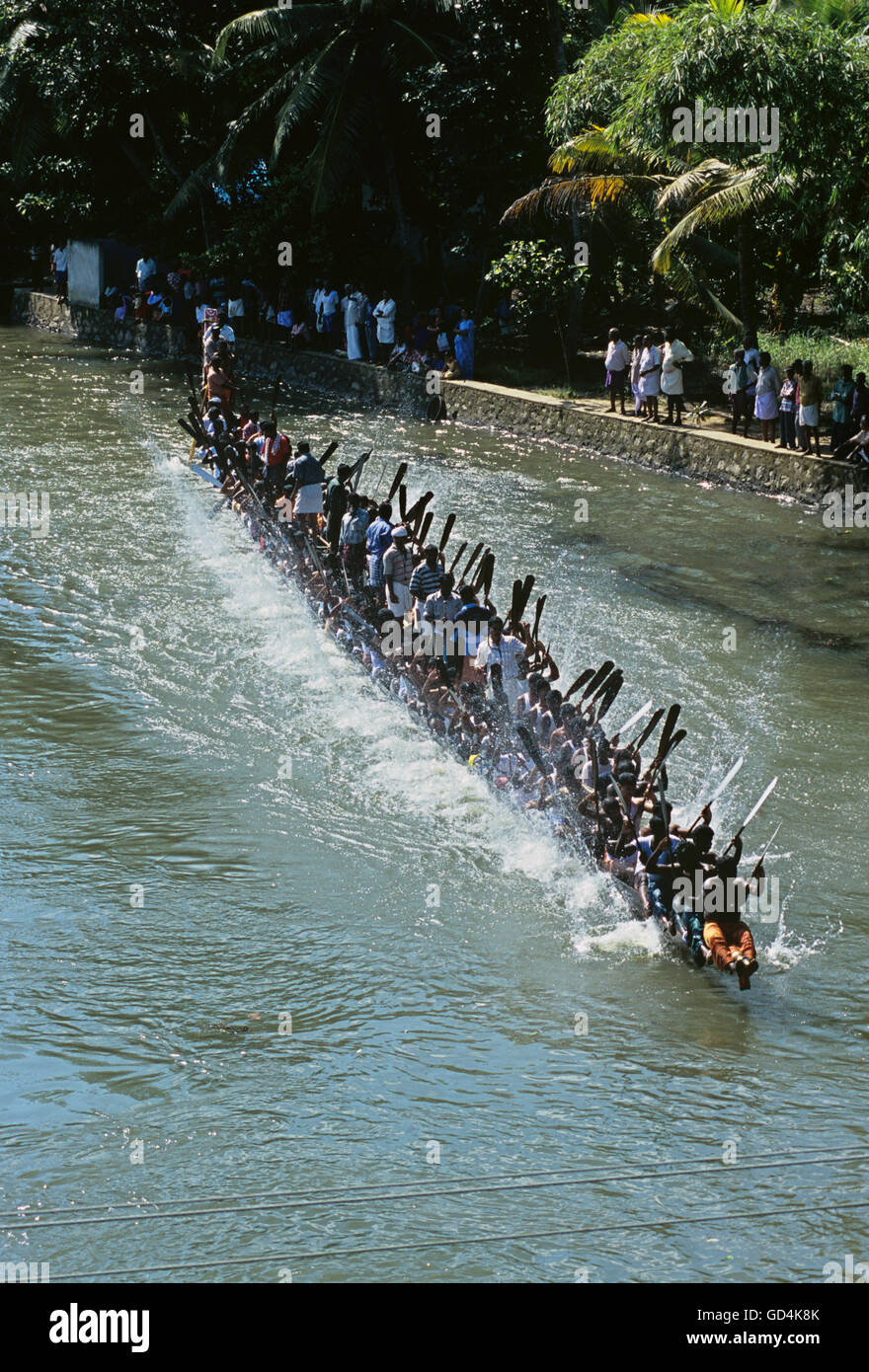 Snake boat racing Foto Stock