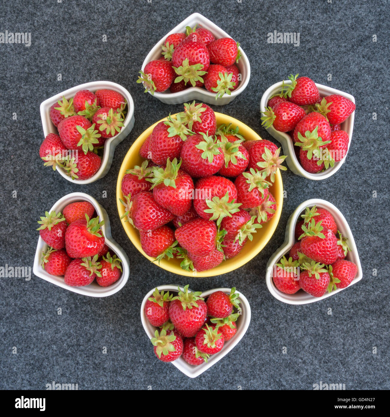 Raccolte fresche Fragole in una ciotola di colore giallo e bianco a forma di cuore, di bocce su sfondo grigio Foto Stock