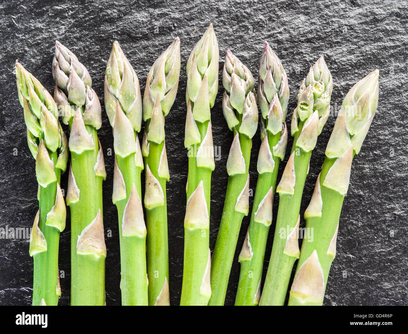 Green giovani germogli di asparagi su sfondo nero. Foto Stock