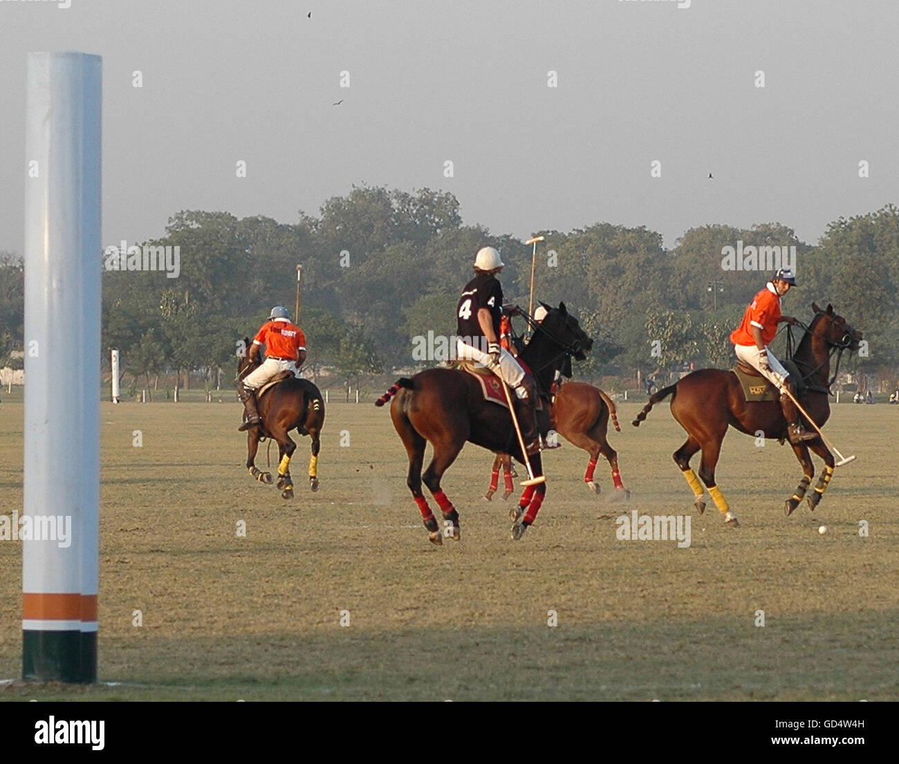 Giocatori di polo in azione Foto Stock