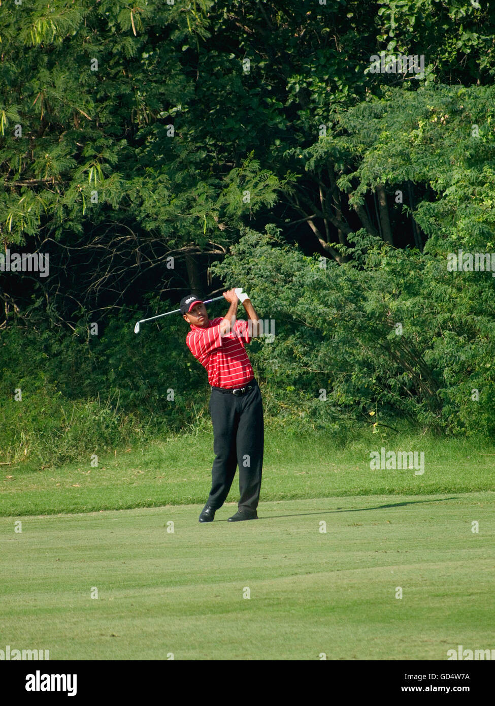 Il Golfer Jeev Milkha Singh Foto Stock