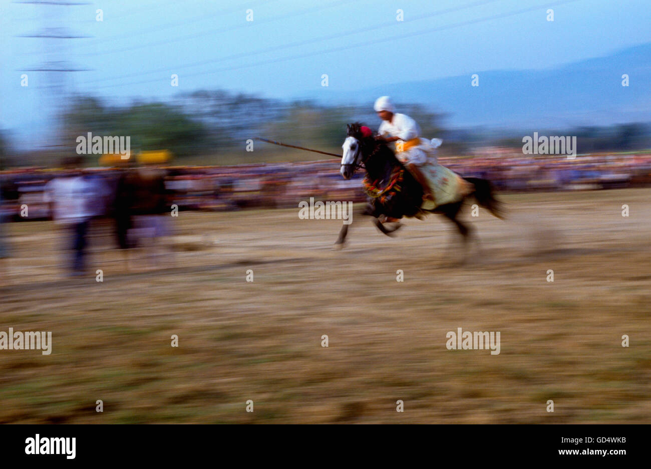 Nihang Foto Stock