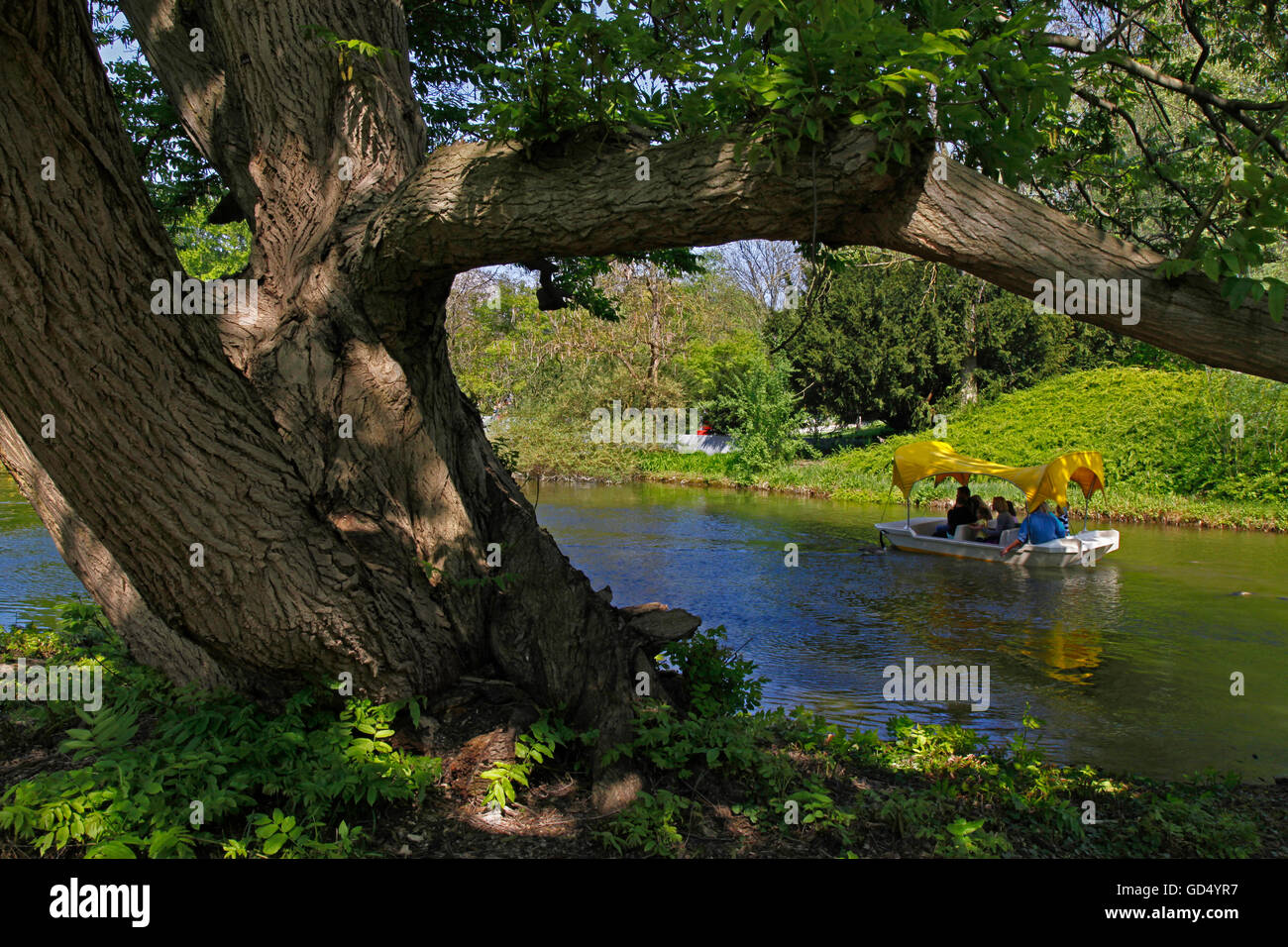 Gondoletta barca, Kutzer stagno, Luisenpark, Mannheim, Baden-Württemberg, Germania Foto Stock