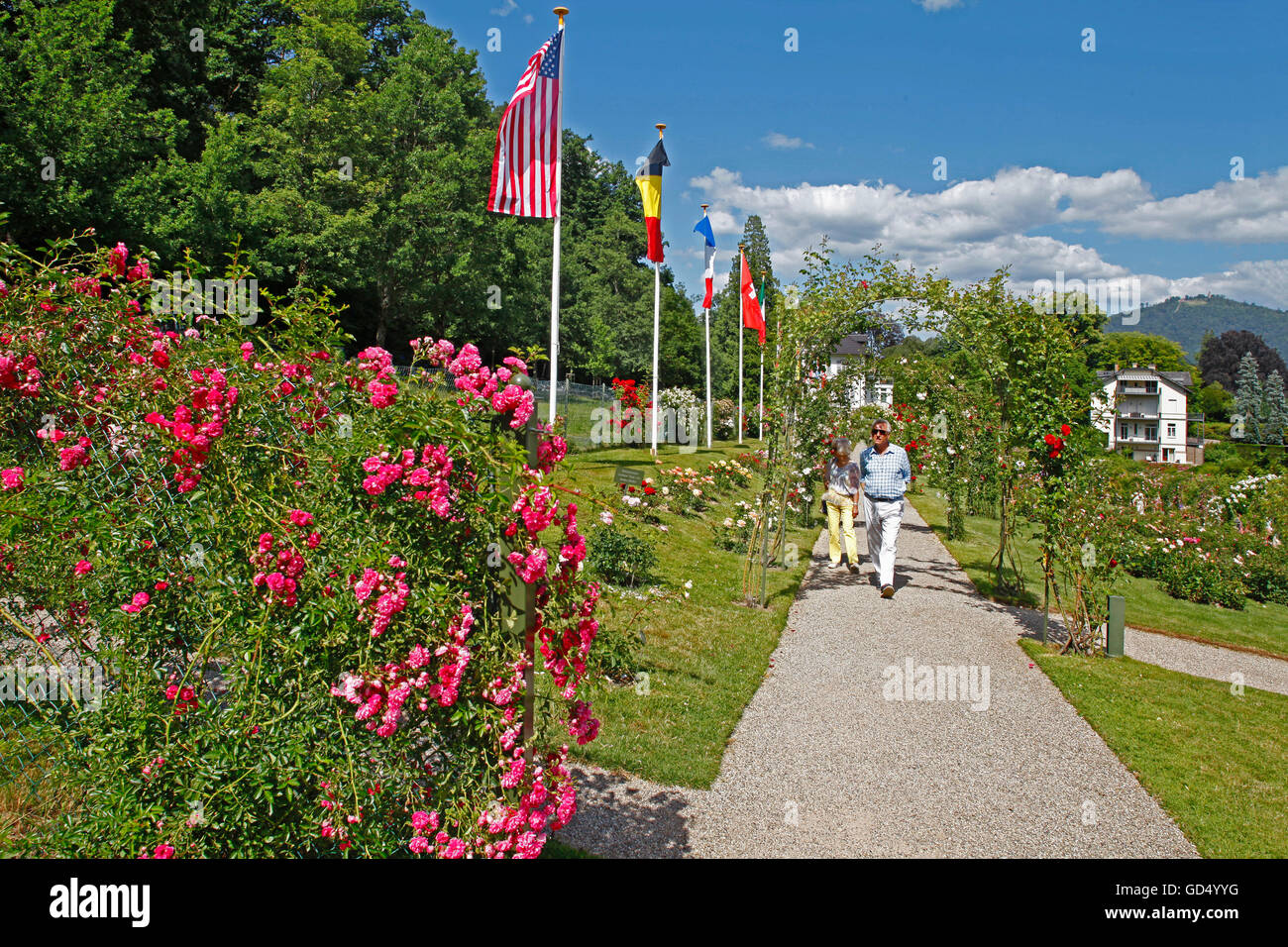 Il giardino delle rose, il Catinaccio, Beutig, Moltkestrasse, Baden-Baden, Baden-Württemberg, Germania Foto Stock
