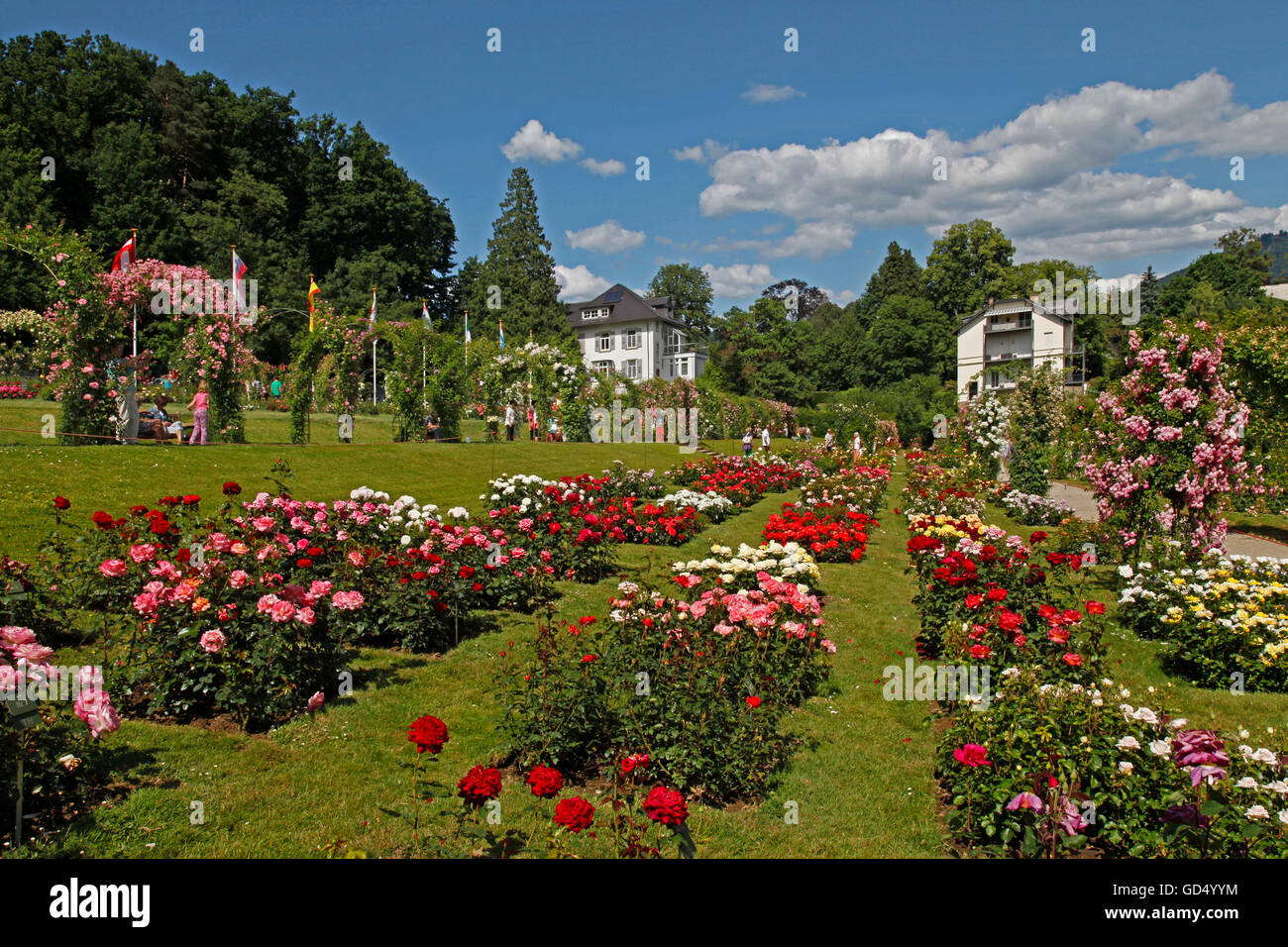 Il giardino delle rose, il Catinaccio, Beutig, Moltkestrasse, Baden-Baden, Baden-Württemberg, Germania Foto Stock