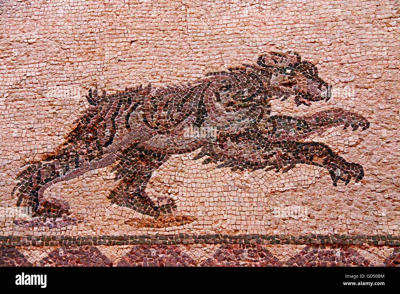 Mosaico in esecuzione di orso, casa di Dioniso, il Portico Orientale, la camera 11, il parco archeologico di Paphos, Republik di Cipro / Pafos Foto Stock