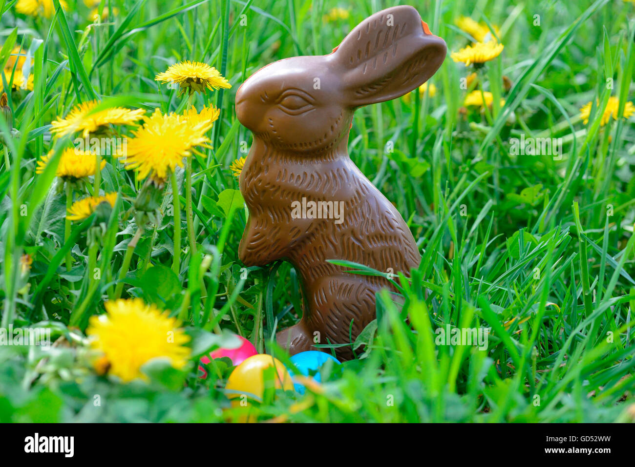Cioccolato coniglietto di Pasqua Foto Stock