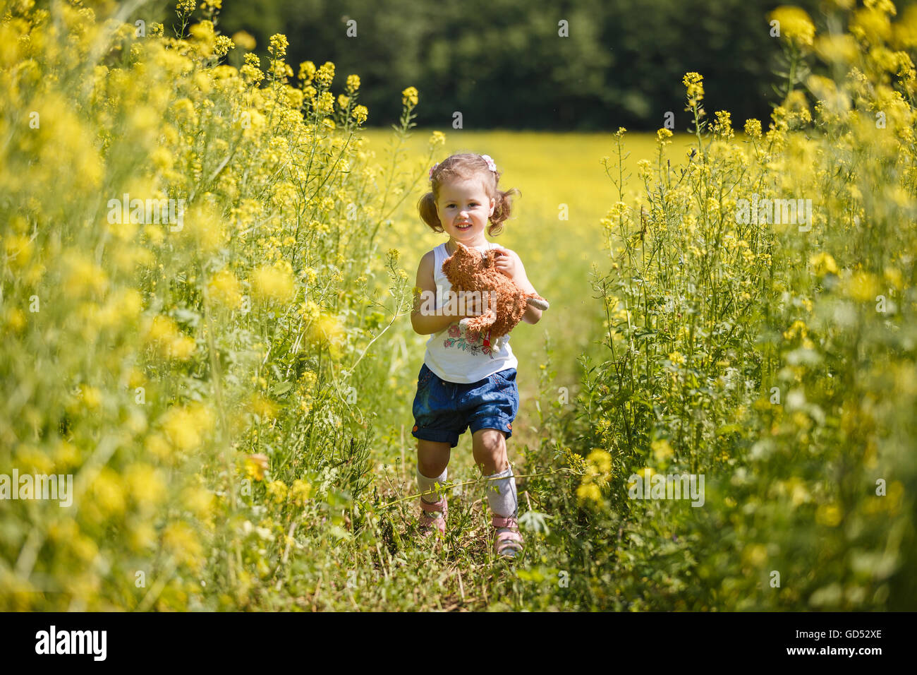 Bambina azienda giocattolo morbido nel campo di colza, ora legale Foto Stock