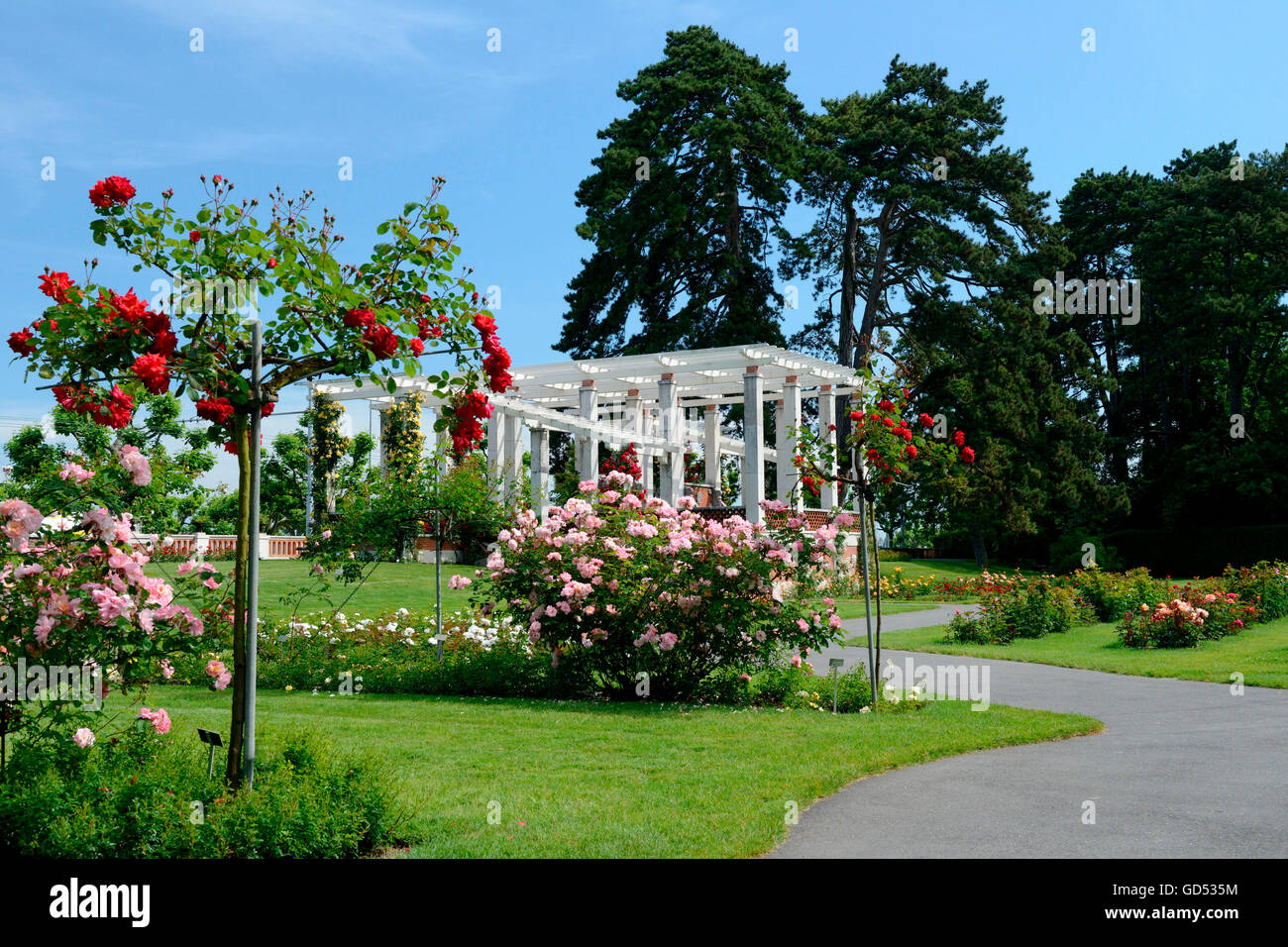 Giardino di Rose, il Parc de la Grange di Ginevra, il cantone di Ginevra, Svizzera Foto Stock
