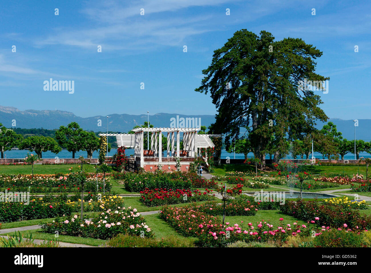 Giardino di Rose, il Parc de la Grange di Ginevra, il cantone di Ginevra, Svizzera Foto Stock