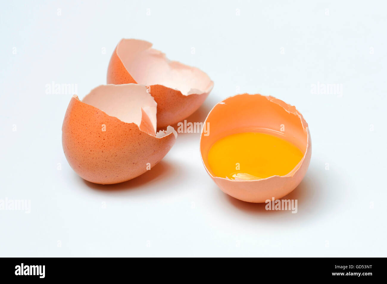 Uovo di pollo, tuorlo d'uovo Foto Stock