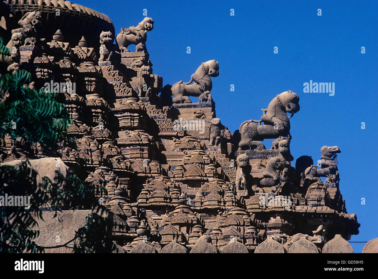 Amar Sagar Jain Temple Foto Stock