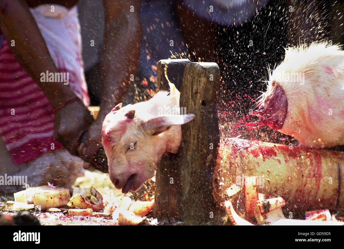 Casa di macello Foto Stock